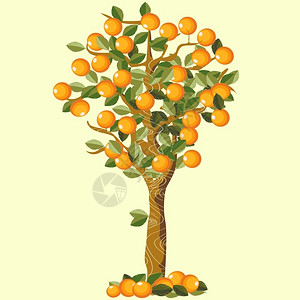 橙树背景图片