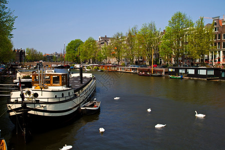 阿姆斯特丹的运河上的房子图片