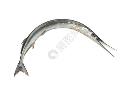 海针图片_海针素材_海针高清图片_摄图网图片下载