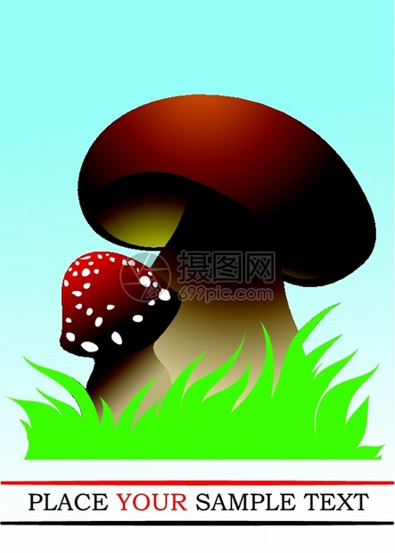 两个森林蘑菇矢量插图图片