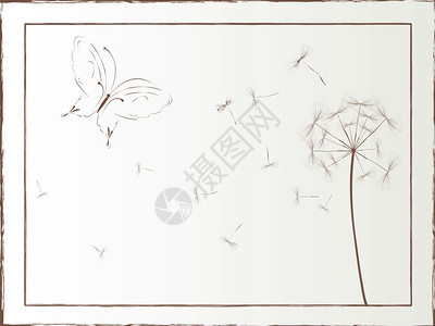 Dandelion和蝴蝶框图解矢量艺术图片