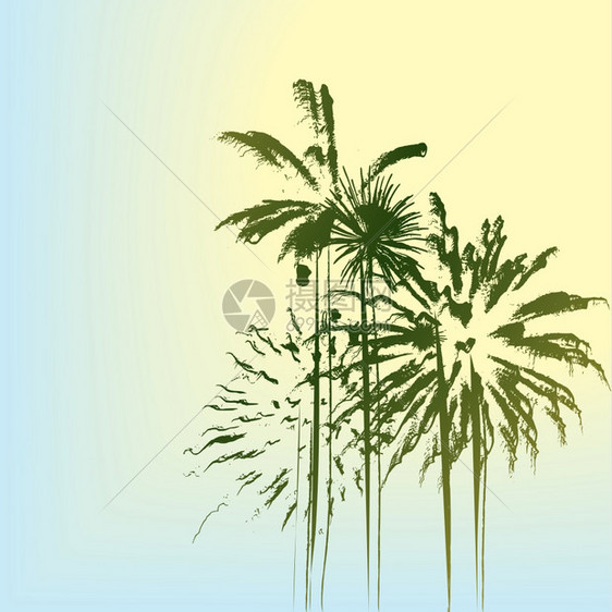 夏季假日风景和棕榈树图片