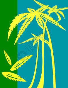 棕榈树背景卡图片