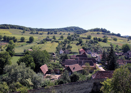 夏季Biertan的Sachs村图片