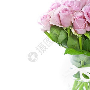 白色背景花瓶中的粉红玫瑰花束图片