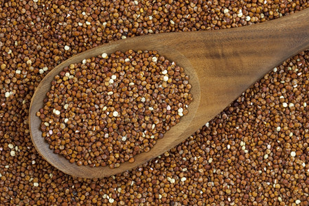 红quinoa粒子的背景图片