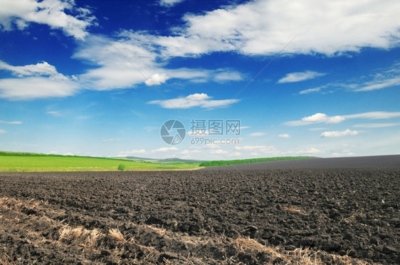 可耕地和蓝天空图片