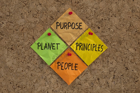 P4PPP宗旨人地球原则可持续成功的四个基石和现代管理组织念的格言在cork公告板上贴彩色粘纸图片