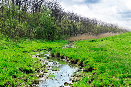 绿色溪流背景