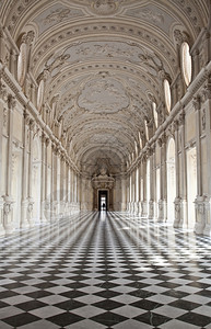 皮埃蒙特地区托里诺附近的维那亚王宫GalleriadiDiana的景象背景图片