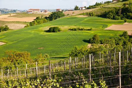 意大利皮埃蒙特地区Monferrato地区景观图片