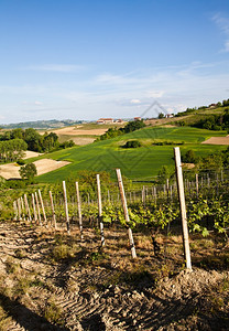 意大利皮埃蒙特地区Monferrato地区景观图片