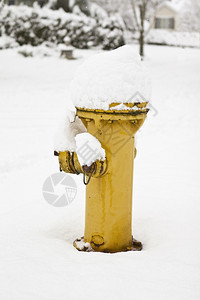 冬季黄火消防栓顶有雪图片