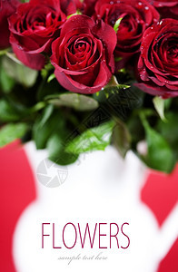 花瓶中的红玫瑰束带样本文图片