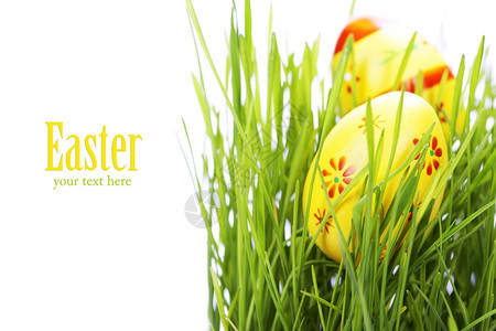复活节鸡蛋和绿草背景图片