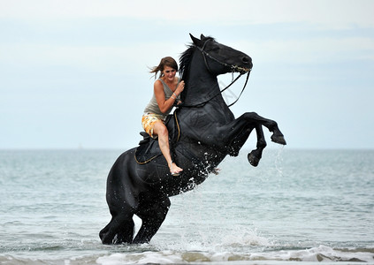 年轻的少女和美丽黑马在海中繁衍图片