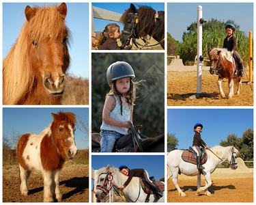 小女孩和她最好的朋友雪特兰小马背景图片