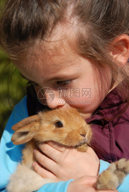 小女孩亲吻她的年轻棕兔专注子图片