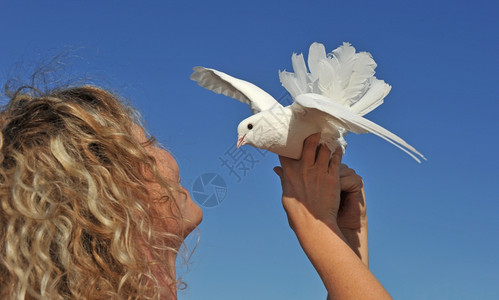 蓝天鸽子ppt背景年轻女孩和她的鸽子在蓝天空上背景