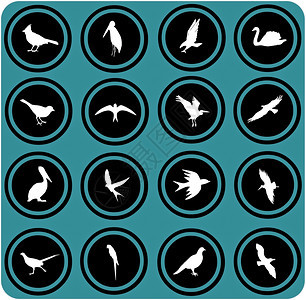 蓝标志鸟类的光影birds图标图片