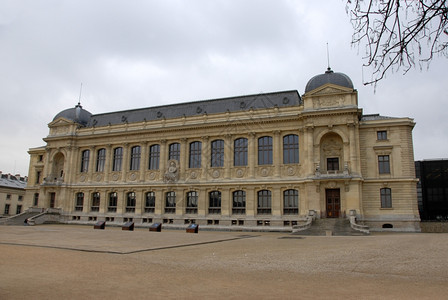 博物馆d法国首都巴黎自然史图片