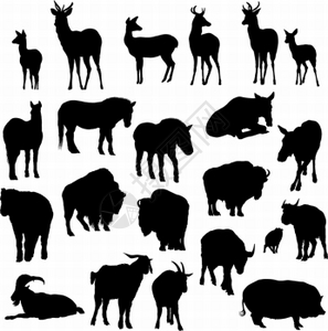鹿马山羊牛水和猪剪影图片