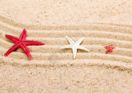 海滩沙上的星图片