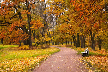 秋在公园图片