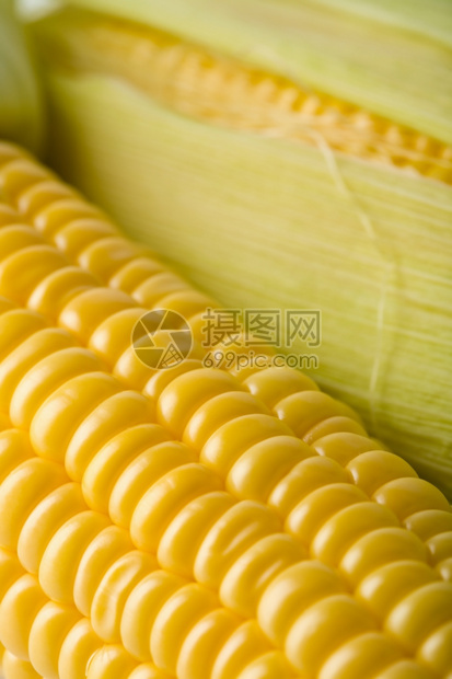 新鲜玉米的宏观图片