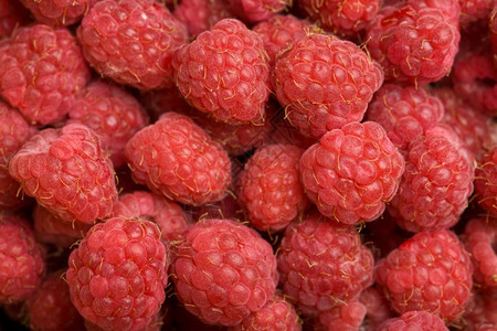 新鲜的红色树莓图片