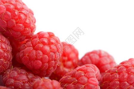 新鲜的红色树莓图片