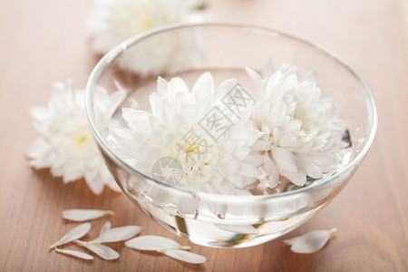 在碗中漂浮的白花图片