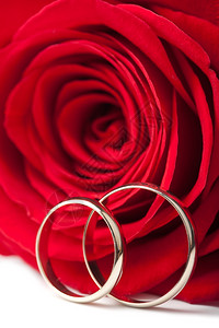 金婚环和红玫瑰图片