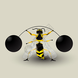 松散重量带有德国黄蜂提升重量的概念图形像包含透明效果图片
