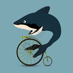 鲸鱼驾驶老式自行车的概念图解图片