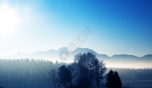 冬季阳光明和雾风景图片