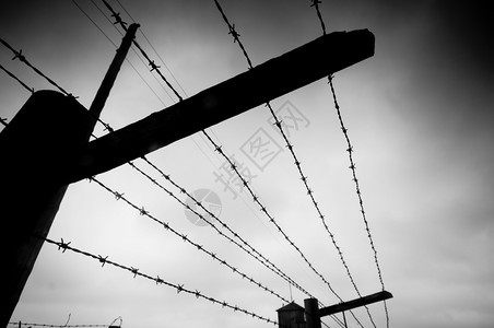 监狱刺铁丝网围栏黑白图片
