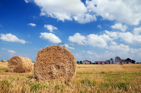 战地的黑沙堆收割图片