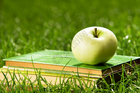在草丛的书上放苹果教育概念回到学校图片