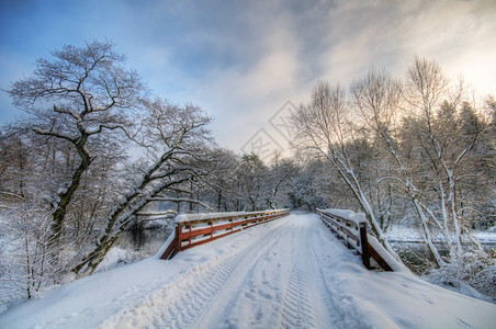 日落时冬季森林的桥梁下着大雪图片