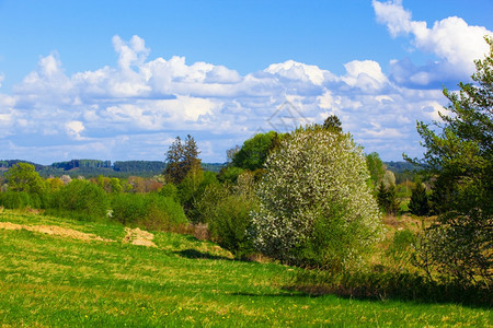 青蓝天空和浮云的农村春地图片