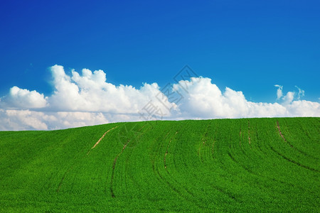 绿色的夏月风景有蓝色的天空和浮云图片