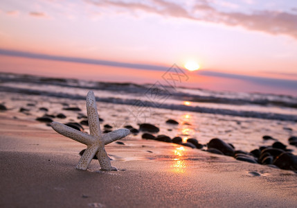 浪漫日落时海滨星图片