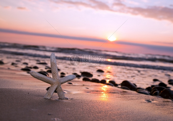 浪漫日落时海滨星图片