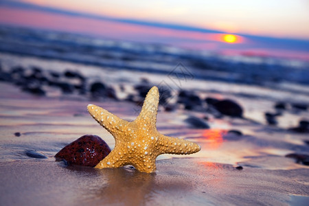 浪漫日落时海滨星图片