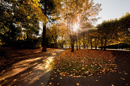 秋公园和太阳光图片