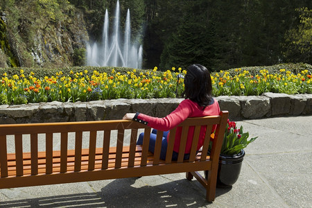 妇女在花园的雪松长凳上休息时观看喷泉水图片