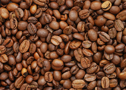 咖啡豆顶层风景图片