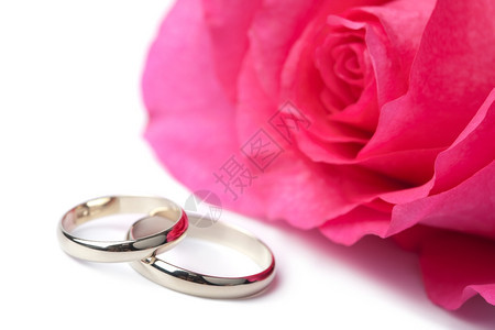 金结婚戒指和粉色玫瑰图片