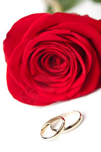 金结婚戒指和红玫瑰图片